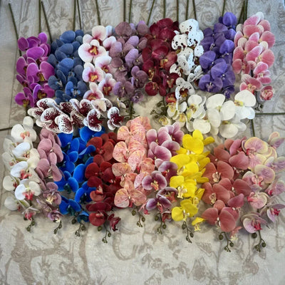 Phalaenopsis Orchid Spray — 9 Head Luxury Stem (5 Pack)