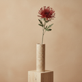 Spinnen-Chrysantheme — Große Seidenblüte (1 Stiel)