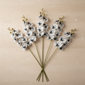 Phalaenopsis Orchidee — Luxusstiel-Set (5 Stiele, 45 Blüten)