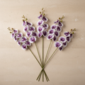 Phalaenopsis Orchidee — Luxusstiel-Set (5 Stiele, 45 Blüten)