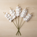 Phalaenopsis Orchidee — Luxusstiel-Set (5 Stiele, 45 Blüten)