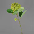 Korallen-Eukalyptus Fruchtzweig Kunstblume — Nahaufnahme Beeren | Everblume