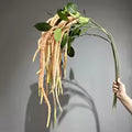 Hängende Beerenranke Kunstblume — im Arrangement | Everblume