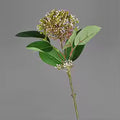 Korallen-Eukalyptus Fruchtzweig Kunstblume — Detail Blätter | Everblume