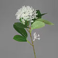 Korallen-Eukalyptus Fruchtzweig Kunstblume — Gesamtansicht | Everblume